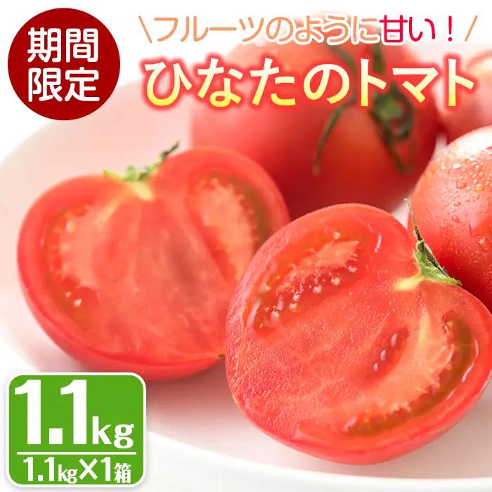 ＜先行予約受付中！2027年1～5月の間に発送予定＞ひなたのとまと(1.1kg)野菜 冷蔵 国産 【A-4】【新門トマト農園】