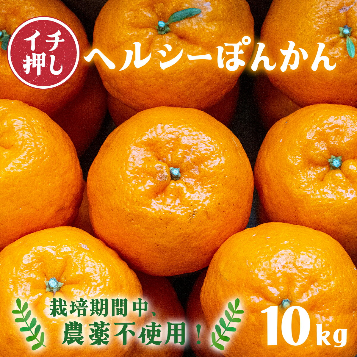 【ふるさと納税】ヘルシーぽんかん10kg［F139］ポンカン ぽんかん 国産 東洋町産 オレンジ 蜜柑 ミカン 果物 フルーツ 甘い 酸味 ジューシー 完熟 高知県 四国 お取り寄せ 贈答 贈り物 ギフト 内祝 家庭用 自宅用 送料無料