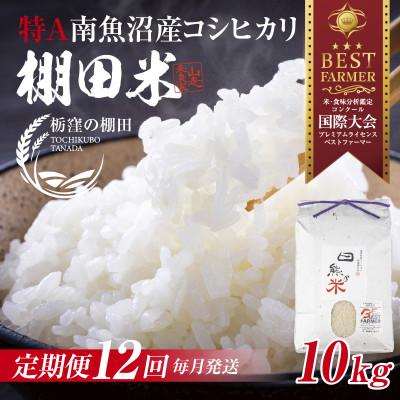 ふるさと納税 南魚沼市 【毎月定期便】【産地限定棚田米】 新潟県 南魚沼 コシヒカリ 10kg 精米 日熊の米 棚田全12回