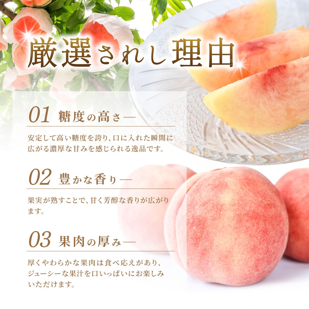 【2026年発送分先行予約】数量限定！【モモ】川中島白桃 約2kg 6個入 100個に1個の特選最上級秀品！ こだわり農家厳選！【2026年7月末から8月末順次発送】/ 和歌山県 もも 桃 高級 贅沢