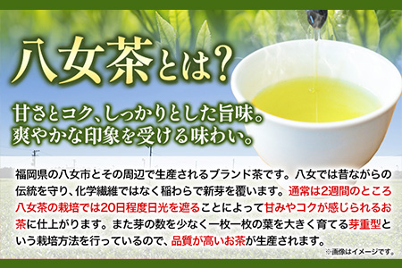 八女茶 煎茶ペットボトル 500ml×24本 株式会社親和園《30日以内に順次出荷(土日祝除く)(土日祝除く)》福岡県 鞍手郡 鞍手町 お茶 緑茶 茶 八女茶 ペットボトル 送料無料