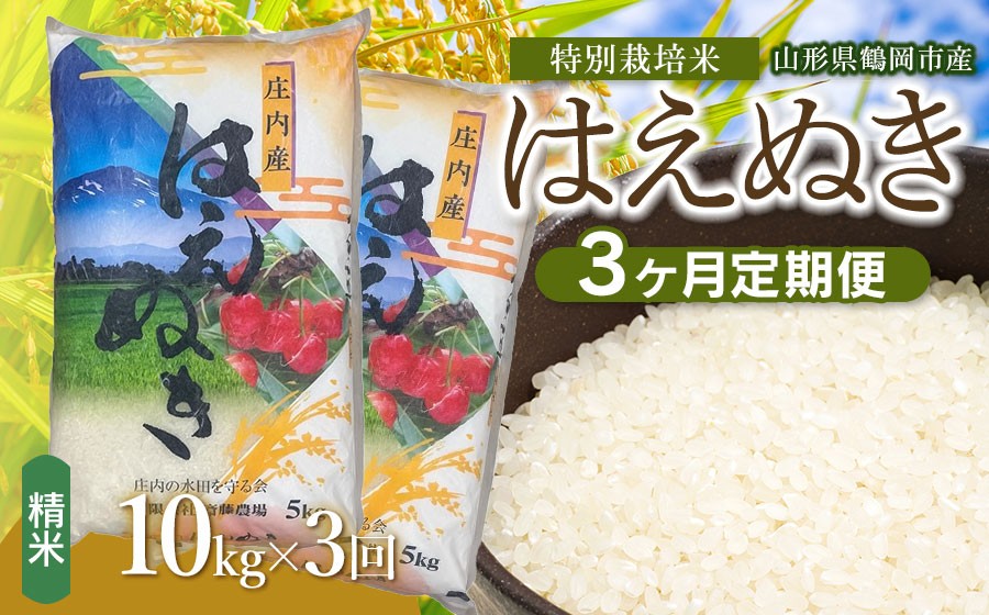 
                  【令和8年産 新米】【定期便3ヵ月】斎藤農場の特別栽培米 はえぬき 精米 10kg(5kg×2袋)×3ヶ月 山形県鶴岡市 K-875 | 米 こめ コメ はえぬき ブランド米 庄内米 ごはん ご飯 美味しい 国産 おにぎり 農家直送 おすすめ 人気 お取り寄せ 返礼品
                