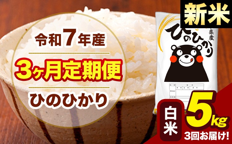 
            新米 令和7年産 【3ヶ月定期便】 白米 米 ひのひかり 5kg《お申し込み月の翌月から出荷開始》熊本県 大津町 国産 熊本県産 白米 送料無料 ヒノヒカリ こめ お米
          