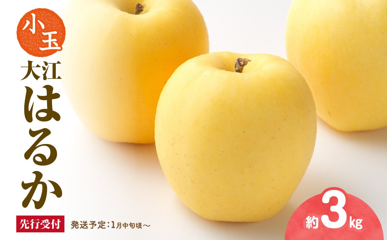 
            《先行受付》 小玉・大江はるか約3kg（有袋栽培）【2026年1月中旬頃～発送予定】 【015-066】
          