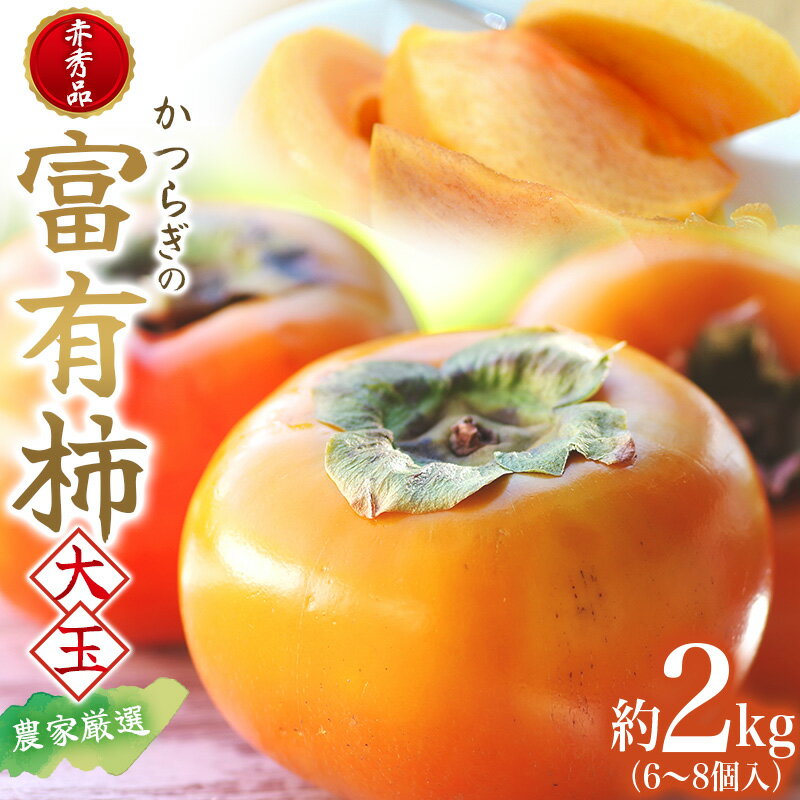 【ふるさと納税】【2026年秋・発送分！】富有柿 赤秀品 大玉 6個～8個入 こだわり農家厳選【2026年10月末から11月末頃に順次発送予定】 / 柿 フルーツ 果物 かき 和歌山 かつらぎ 農家直送 贈答【kgr043】