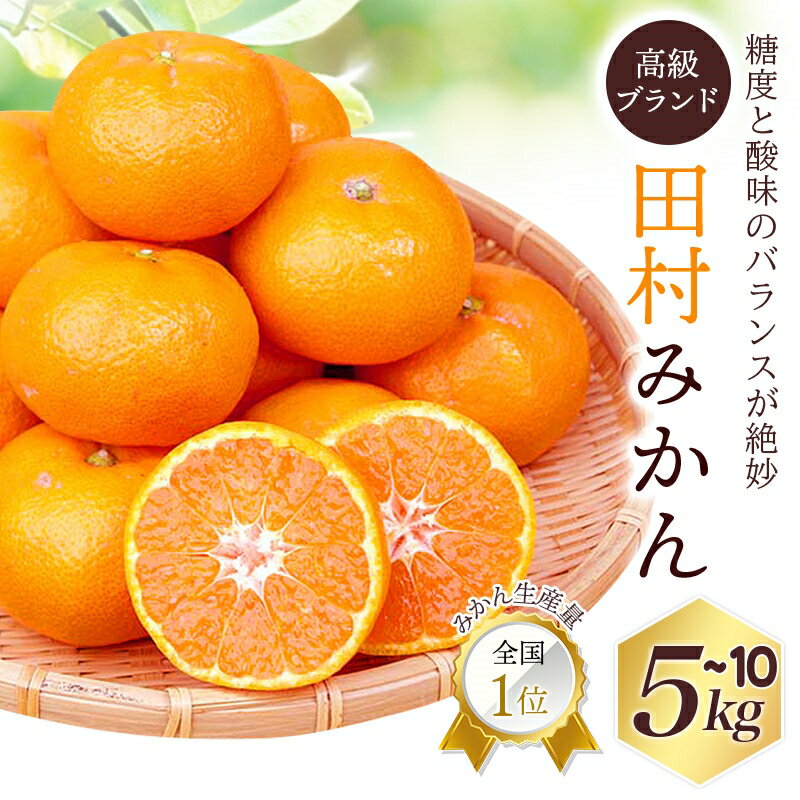 【ふるさと納税】 高級ブランド 田村 みかん ※2026年11月下旬頃〜翌年1月下旬頃に順次発送予定 ※離島への配送不可 / 有田みかん 柑橘 甘い 和歌山 //mandarin
