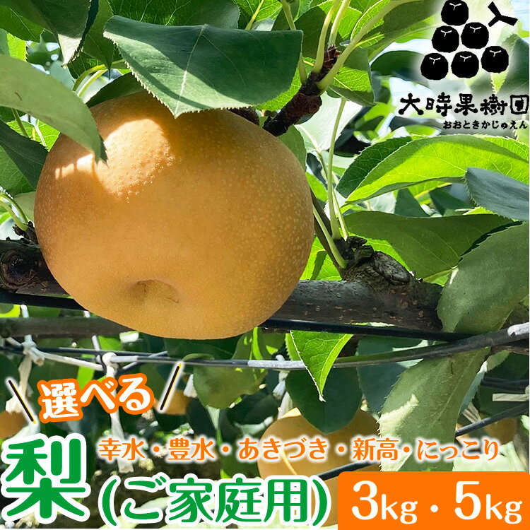 【ふるさと納税】【先行予約】【選べる内容量・品種】梨 3kg または 5kg 箱（家庭用）幸水 豊水 あきづき 新高 にっこり 旬 産地直送 フルーツ 果物 贈答 ※2025年8月中旬頃より順次発送予定
