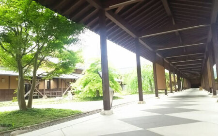 文化の里 古田紹欽記念館 呈茶回数券 【No.478】 チケット お抹茶 記念館 山県市 × 岐阜市 / 古田紹欽記念館[ANFF001]