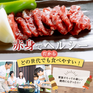 桜屋　馬肉 焼肉用スライス 500g_U01-1335