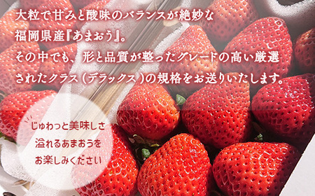 あまおうデラックス（2パック）いちご 苺 あまおう 人気 大人気 福岡 九州 フルーツ ストロベリー 先行予約※2024年2月上旬から4月上旬にかけて順次出荷予定 MY001