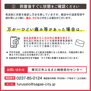 《先行予約》令和8年産 山形セレクション認定品 洋梨「追熟 ラ・フランス 」秀品 サイズおまかせ 5kg（14 - 18玉） 山形県産 【2026年10月末頃から2027年1月頃発送予定】2026年産
