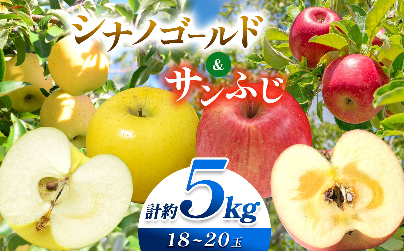 
            【先行受付】【10月下旬頃～発送予定】信州りんご 満喫セット（サンふじ・シナノゴールド）約5kg （ 18 ～ 20 玉 ） | 果物 くだもの フルーツ サンふじ シナノゴールド 林檎 りんご リンゴ 長野県 塩尻市
          