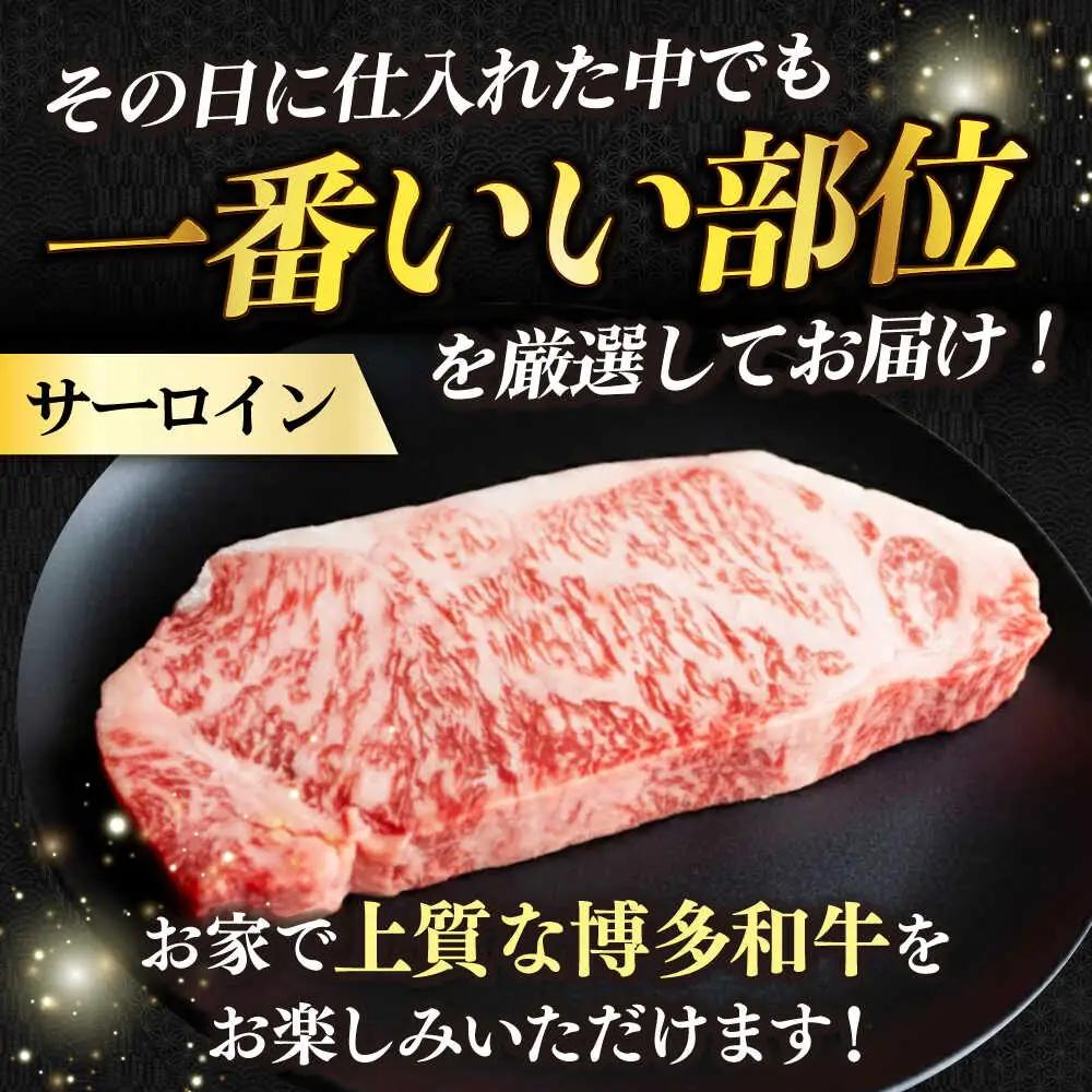 サーロイン 【全3回定期便】 500g（250g×2枚）  [ABBP030] サーロイン