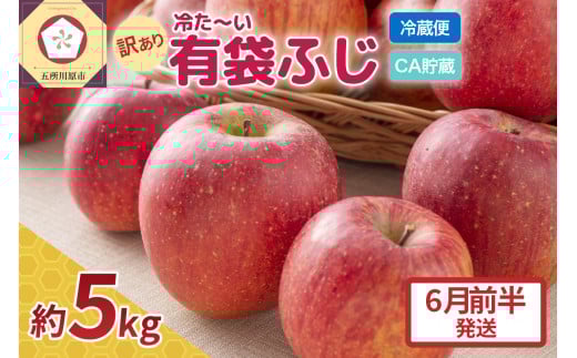 【2026年6月前半発送 】りんご ふじ 訳あり 約 5kg 【 有袋栽培 CA貯蔵 クール便 果物類 林檎 リンゴ ふじりんご 家庭用 フルーツ 青森 五所川原 】