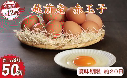 【定期便12回】越前産 赤玉子 50個（45個＋割れ補償5個入り） 【冷蔵・卵】（お届け日指定可）