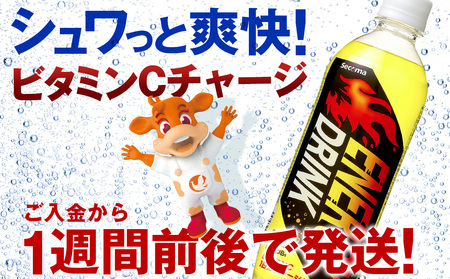 【2/15(木)より発送開始】セコマ エナジードリンク 500ml 24本 1ケース 北海道 千歳製造 飲料 炭酸 ペットボトル セイコーマート