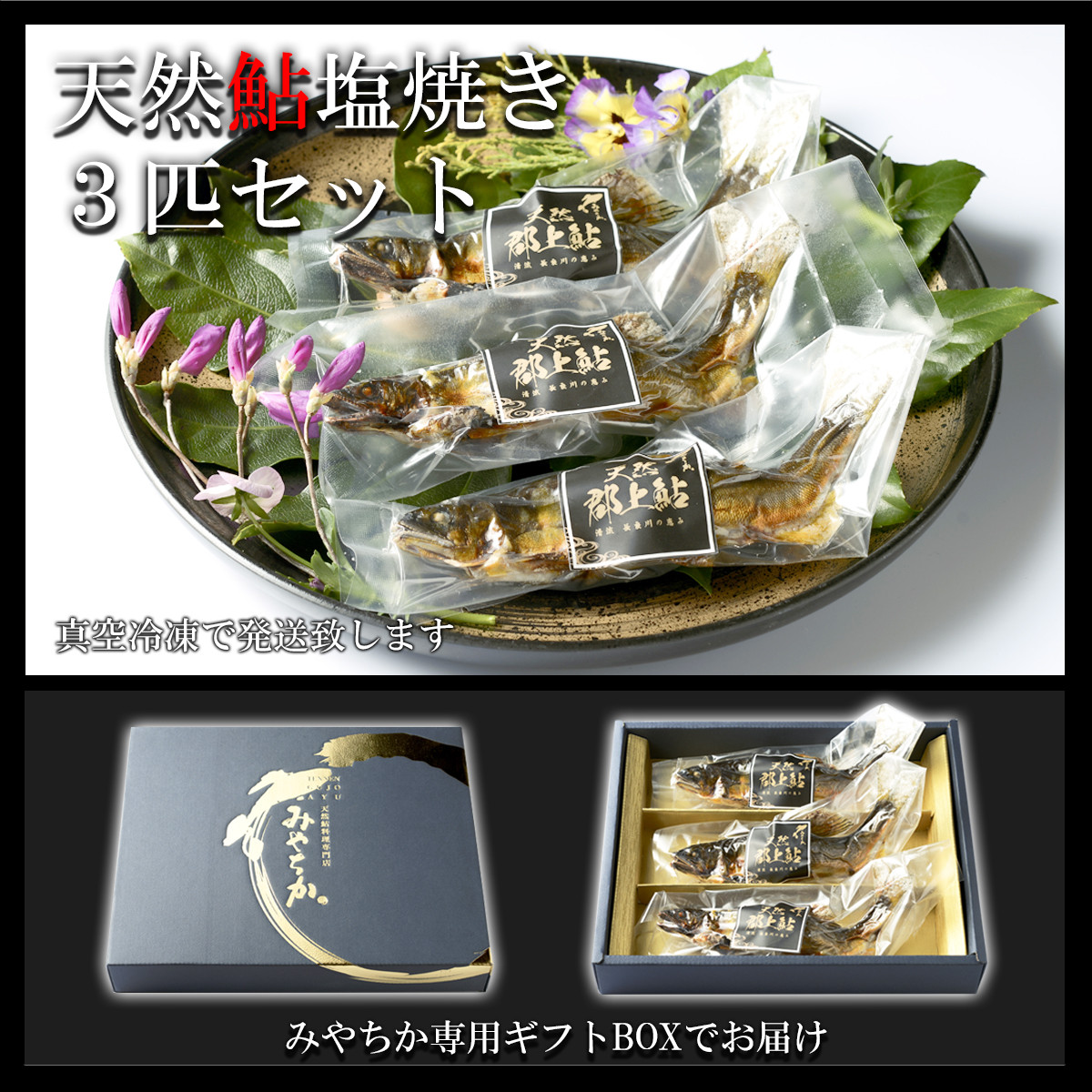 
                  【G0093】天然鮎専門店みやちかの【天然鮎塩焼き】長良川郡上鮎　3匹
                