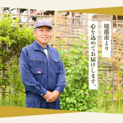 ふるさと納税 境港市 お試し野草茶D クロモジ茶(16P) |  | 02