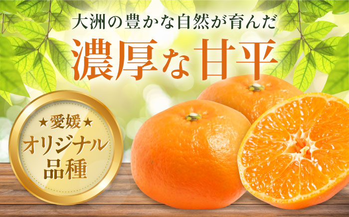 【先行予約】【2026年2月中旬から順次発送】甘平 10個前後【ご家庭用】  愛媛県大洲市/西村農園 みかん ミカン えひめ かんぺい 柑橘 [AGDC004]