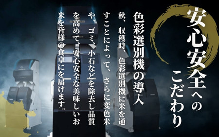 令和7年度産米【お米ソムリエのお米】特別栽培米コシヒカリ 玄米 5kg（5kg×1袋） |五泉市 コシヒカリ