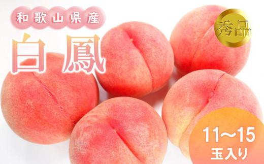 
            和歌山県産 白鳳 桃 11～15玉入り秀品［2026年6月下旬以降発送］［MG90］
          