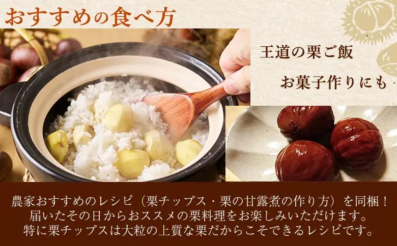 ＜大粒生栗＆むき栗 合計約2.34kg＞『9月上旬から順次出荷予定』 和栗 生栗 くり おおつぶ 大きい 甘い 新鮮 栗ごはん 栗きんとん 剥き栗 甘露煮 旬 国産栗 お取り寄せ 旬 特産品 国産 秋