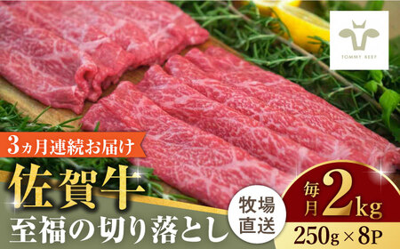 【家計お助け返礼品】【牧場直送】【全3回定期便】佐賀牛至福の切り落とし 計6kg（250g×8袋×3回）/ 牛肉 和牛 / 佐賀県 / 有限会社佐賀セントラル牧場 [41ASAA030]