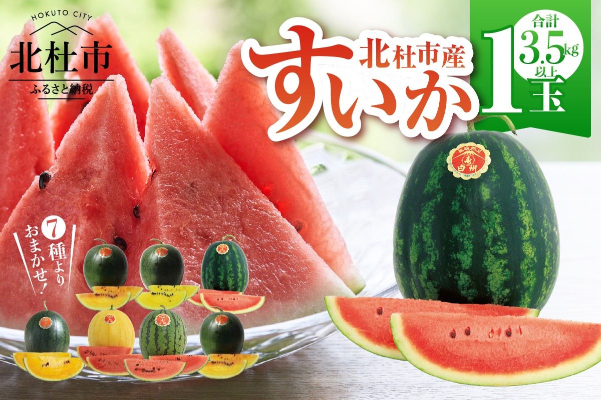 
                  【2026年先行予約】北杜市白州産すいか「すいかばか！」のこだわりの特選すいか セレブシリーズと名水甲羅の中から1玉　特選 フルーツ 数量限定 期間限定 スイカ セレブシリーズ 名水甲羅 産地直送 冷蔵発送
                