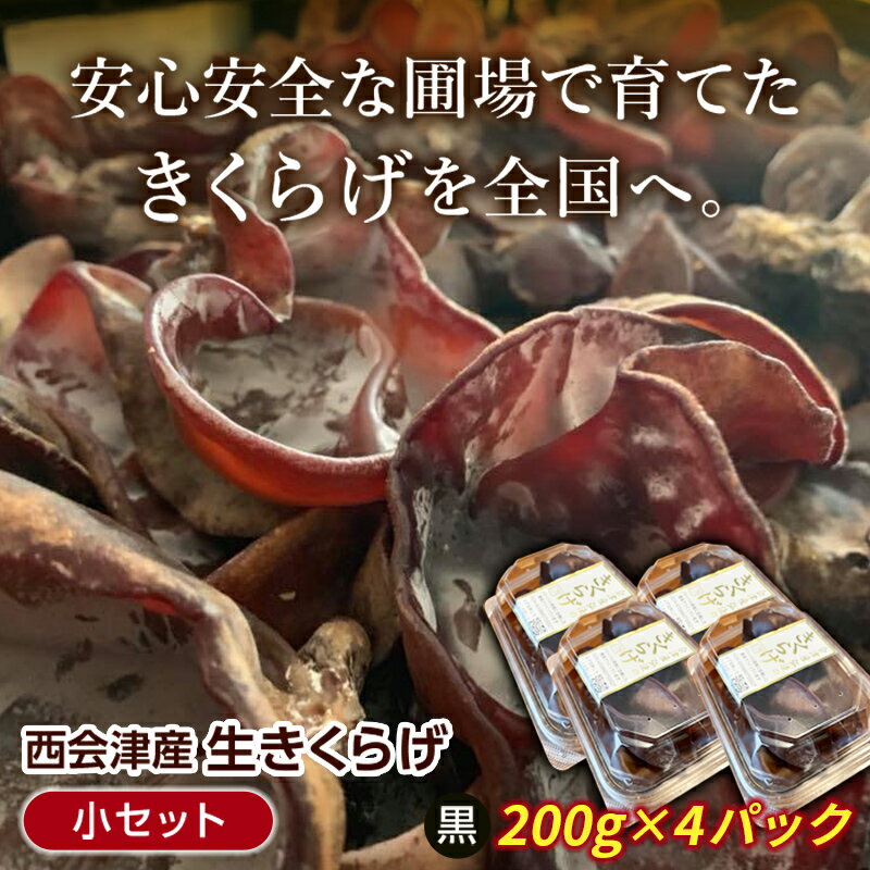 【ふるさと納税】《期間限定》西会津産 生きくらげ 小セット (黒200g×4パック) 完全無農薬 生 きくらげ 木耳 キクラゲ 国産 おつまみ 食品 F4D-2262