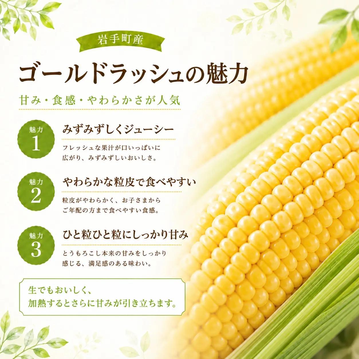 とうもろこし 2L 約10kg 約26本 ゴールドラッシュ 岩手町産 とうもろこし