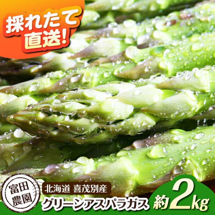 【ふるさと納税】【2026年分予約開始！】数量限定！喜茂別産 採れたて！グリーンアスパラガス 約2kg 《喜茂別町》【富田農園/スプレス】 アスパラ アスパラガス グリーンアスパラガス 季節の野菜 春野菜 先行予約 北海道 北海道 [AJAJ005] 23000 23000円