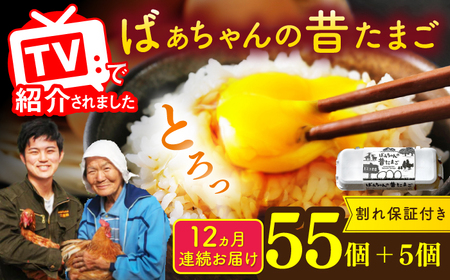 【全12回定期便】ばあちゃんの昔たまご 計720個（55個+5個×12回（割れ補償付き）） / たまご 卵 玉子 平飼い卵 / 佐賀県 / 素ヱコ農園 [41AEAA012]