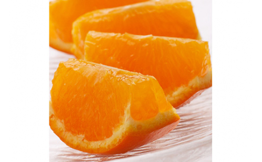
            ＜4月より発送＞厳選セミノールオレンジ3kg+90g（傷み補償分）◇【春みかん】【有田産】【光センサー食べ頃出荷】 ※北海道・沖縄・離島への配送不可 ※2025年4月上旬～5月下旬頃に順次発送予定
          