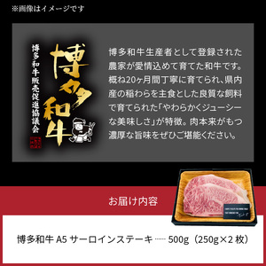 博多和牛A5サーロインステーキ【厳選部位】500g（250g×2枚）KMP0203