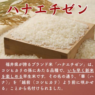 ふるさと納税 小浜市 【新米】令和8年産ハナエチゼン　玄米　20kg |  | 01