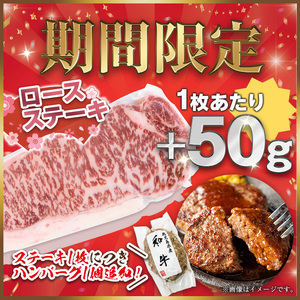 ＜14営業日以内に発送！＞＜1枚・計約250g＋ハンバーグ1個＞4等級以上！鹿児島県産黒毛和牛ロースステーキ1枚セット 黒毛和牛 ステーキ 冷凍【ナンチク】B1-01-v04
