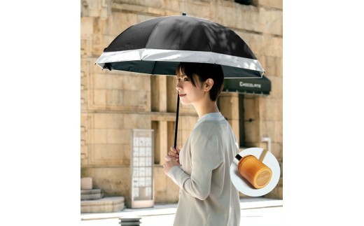 
                  ロサブラン《選べる25色》【日傘】2段折り コンビ【50cm】 | 100％ 完全遮光 晴雨兼用 Rose blanc 傘 カサ uvカット 遮光 遮熱 涼感 紫外線対策 1級遮光 ファッション レディース メンズ ファッション おしゃれ 小物 ギフト プレゼント 母の日
                
