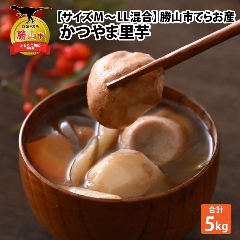 里芋 かつやま里芋 5kg×1箱