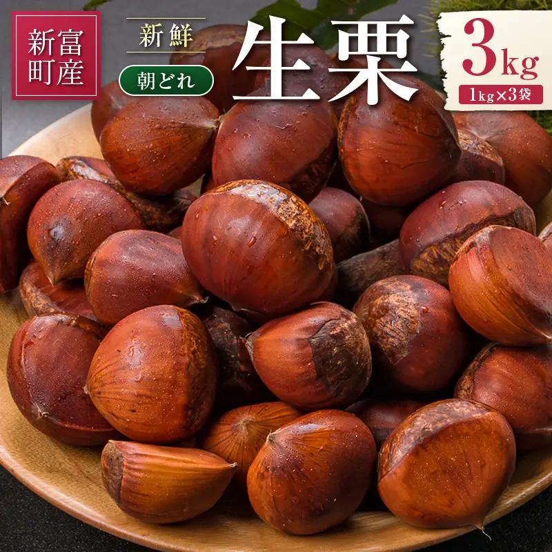 ＜2026出荷!!＞国産 新鮮朝どれ（生栗）3kg お取り寄せ 産地直送 宝珠栗 数量限定 宮崎県新富町産【B670-26】