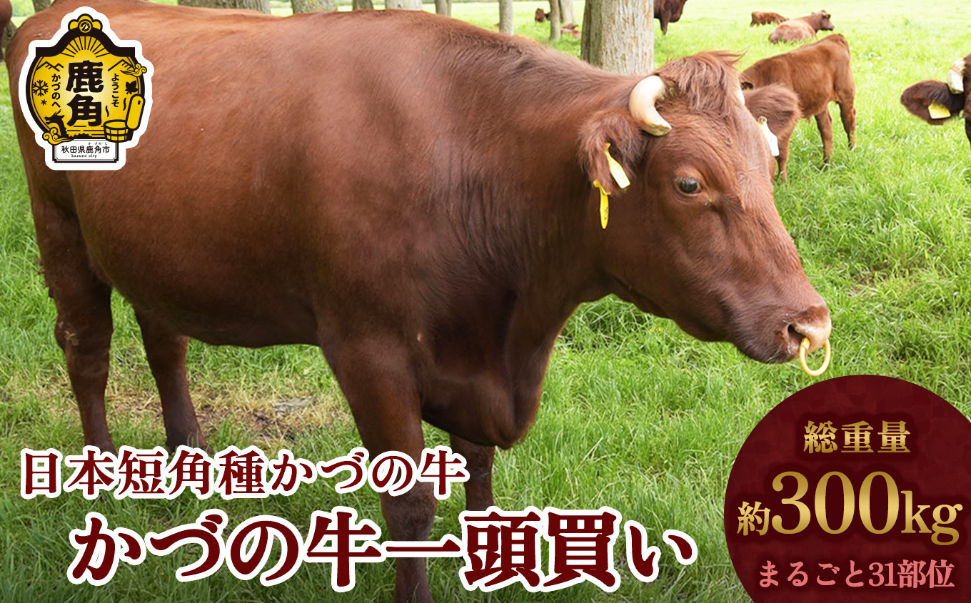 
日本短角種 かづの牛 1頭買い【秋田県畜産農業協同組合】 かづの牛 牛 日本 短角 短角種 牛肉 ヘルシー 低カロリー 県産牛 国産牛 お中元 お歳暮 お取り寄せ グルメ ギフト 故郷 ふるさと 秋田県 秋田 あきた 鹿角市 鹿角 かづの
