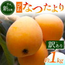 【ふるさと納税】【香川県共通返礼品】なつたよりびわ 約1kg 訳あり びわ なつたより 大玉 柔らかい 香川県共通返礼品 食品 名産 四国 香川 F5J-673