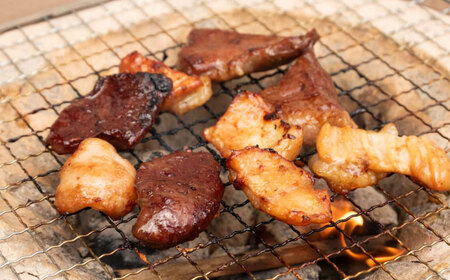 【冷凍】 牛丼×6食とミックスホルモン×1,000g 計1,9kg /木村屋精肉店 [AGCC073] 総菜 人気