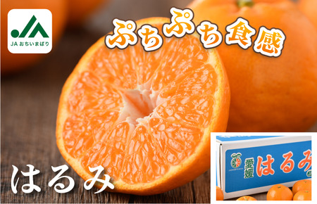 【先行予約】はるみ 5kg S～2L 愛媛県今治市