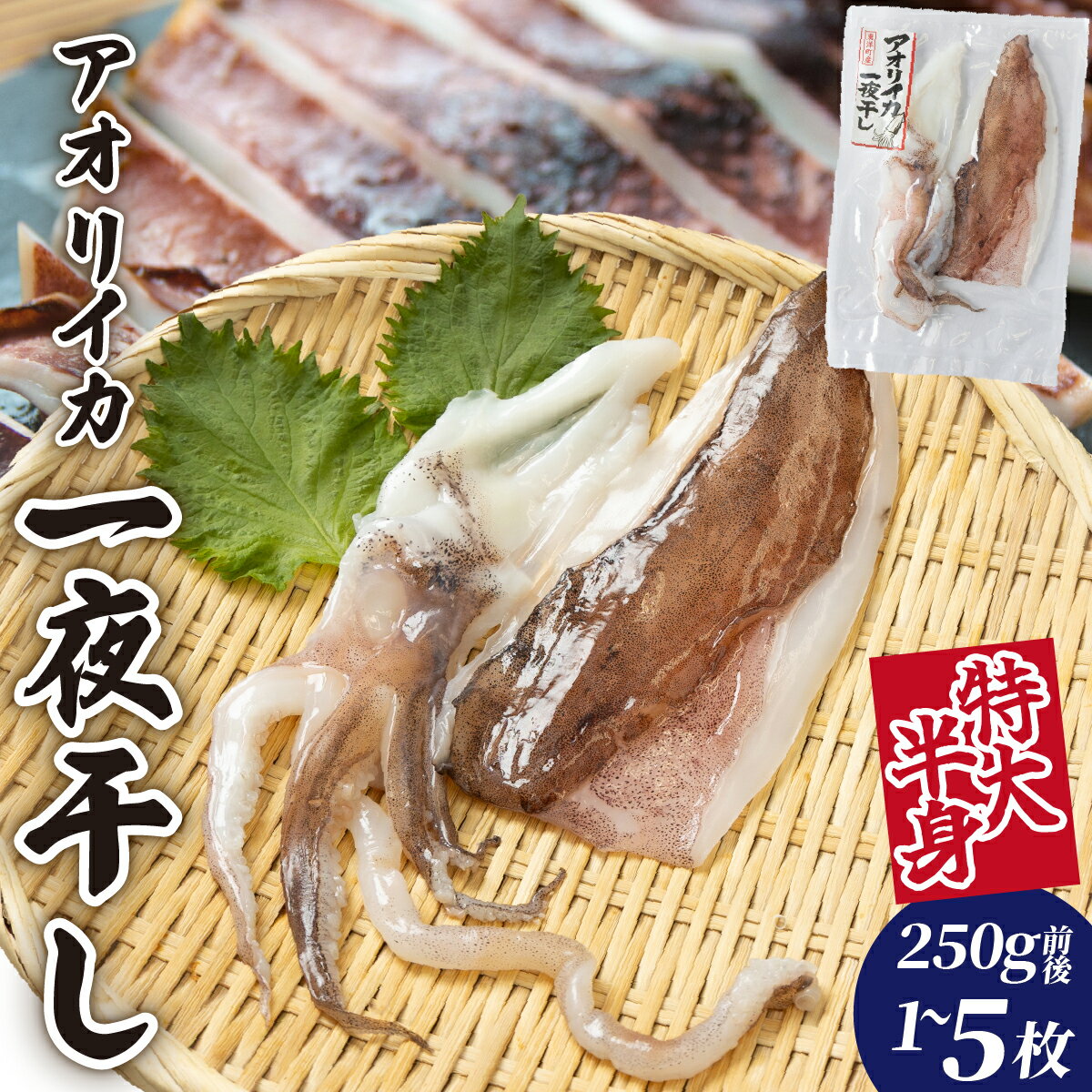 【ふるさと納税】＜選べる内容量＞アオリイカ一夜干し 特大 半身 1枚〜5枚