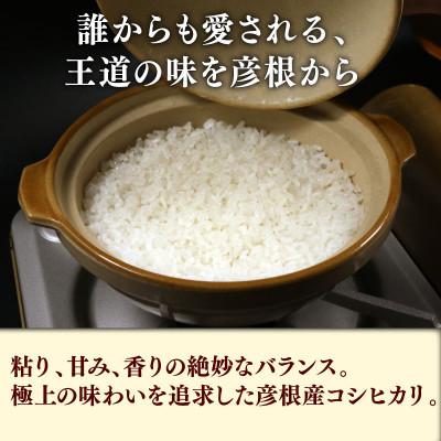 ふるさと納税 彦根市 令和7年産 コシヒカリ白米無洗米10kg(5kg×2袋) 粘り、甘み、香りの絶妙なバランス |  | 01