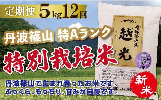 〈定期便 5kg 12回 特A 減農薬〉令和8年産 丹波篠山産 特別栽培米 コシヒカリ 越光  | 丹波篠山 お米 おこめ ブランド米 ごはん ご飯 白米 米 コメ こめ 精米 精白米 おいしい米 美味しいお米 兵庫県 お取り寄せ こしひかり コシヒカリ