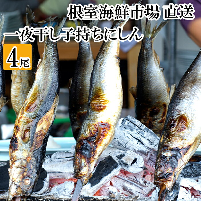 【ふるさと納税】 根室海鮮市場 ＜直送＞ 一夜干し子持ちにしん 選べる 4尾 ～ 8 尾 ニシン 鰊 一夜干 干物 魚 さかな サカナ お取り寄せ グルメ 海鮮 北海道 根室市 ふるさと納税