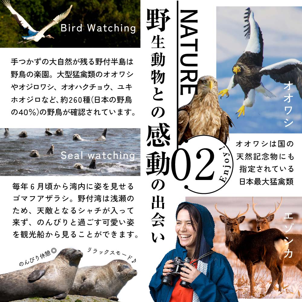 ひがし北海道 別海町の旅（羽田発着 ANA往復 航空券 + 別海町 宿泊 1泊 + レンタカー 北海道 旅行 旅行券 ホテル 旅館 宿泊券 ）