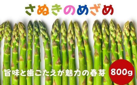 アスパラガス 早出し さぬきのめざめ 春芽 約800g 期間限定 アスパラ グリーンアスパラ 野菜 旬 旬の野菜 季節の野菜 産地直送 香川 香川県 丸亀 丸亀市 冷蔵 冷蔵配送 先行 予約 2025 2025年 1月下旬発送開始