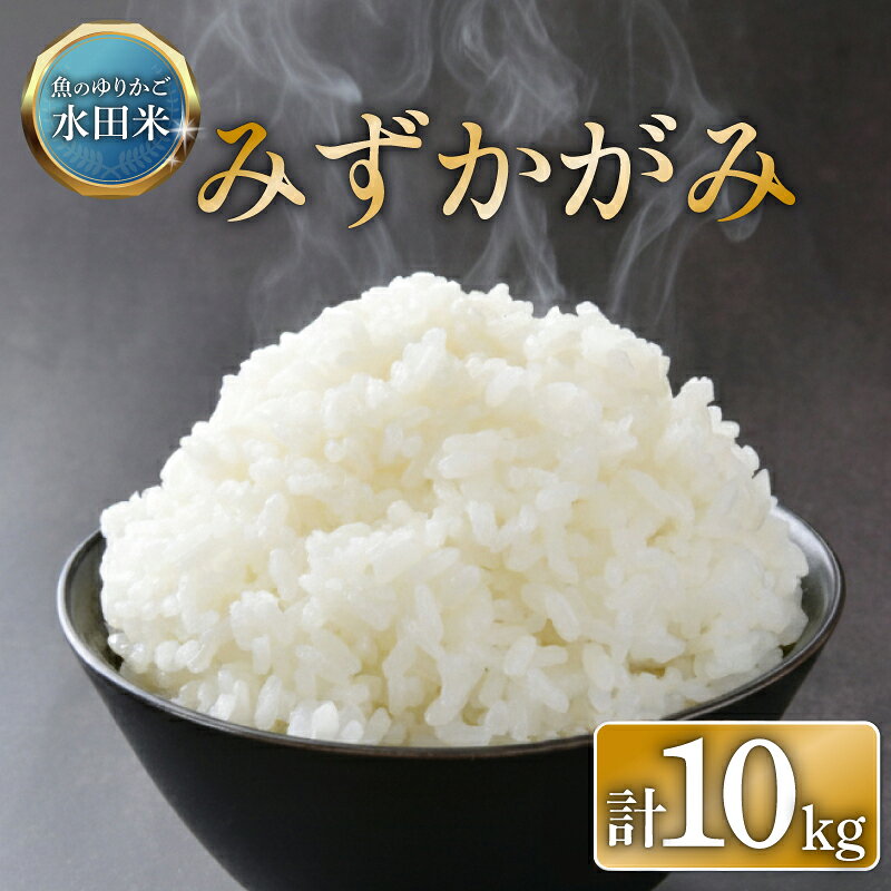 【ふるさと納税】 ＼ 令和8年産 ／ 新米 みずかがみ 10kg ひこにゃん米 環境こだわり栽培 5kg×2袋 白米 米 コメ お米 ご飯 ごはん 滋賀 彦根